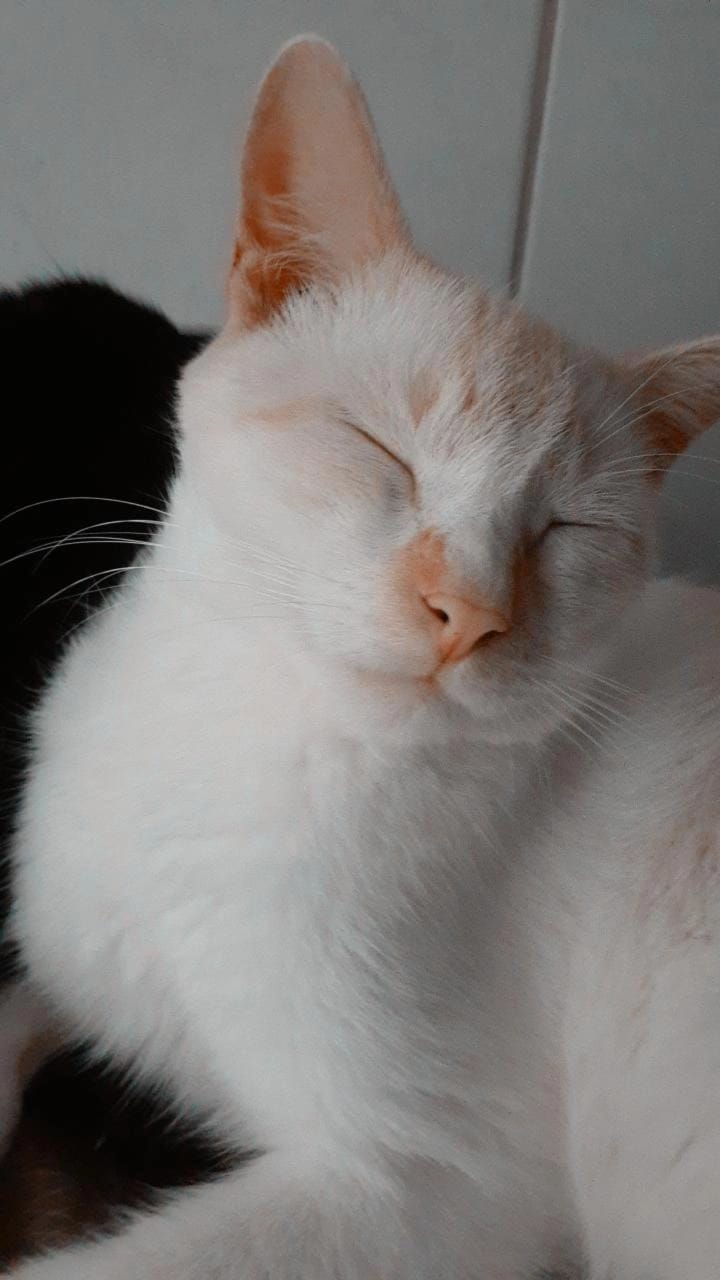 LuKKassSM